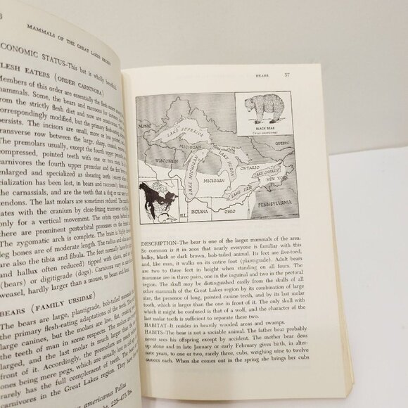 Vtg 1972 MAMMALS of the GREAT LAKES REGION by WILLIAM H. BURT - Picture 5 of 8